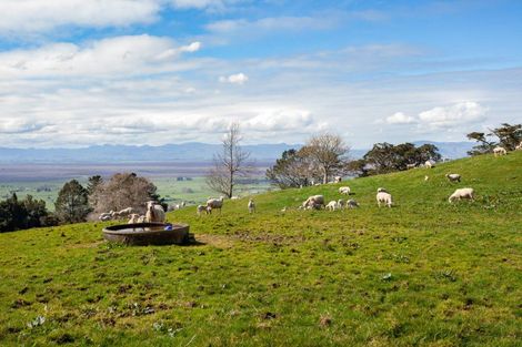 Photo of property in 739 Waiti Road, Tahuna, Morrinsville, 3373