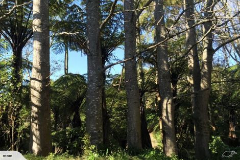 Photo of property in 364 Maniatutu Road, Okere Falls, Rotorua, 3074