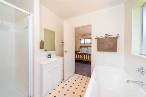 Photo of property in 207 Salisbury Street, Ashhurst, 4810