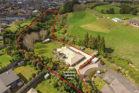 Photo of property in 51 Woodleigh Place, Ohauiti, Tauranga, 3112