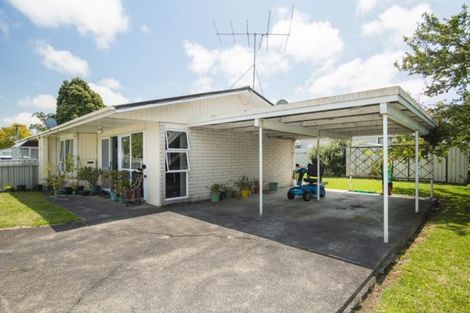 Photo of property in 49 Oak Street, Mangapapa, Gisborne, 4010