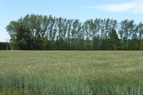 Photo of property in 72 Grahams Road, Tinwald, Ashburton, 7774