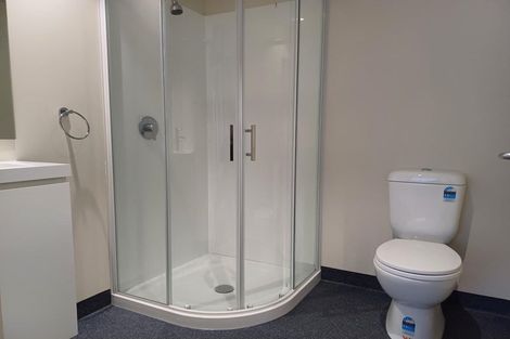 Photo of property in Te Kainga Te Aka, 203 Willis Street, Te Aro, Wellington, 6011