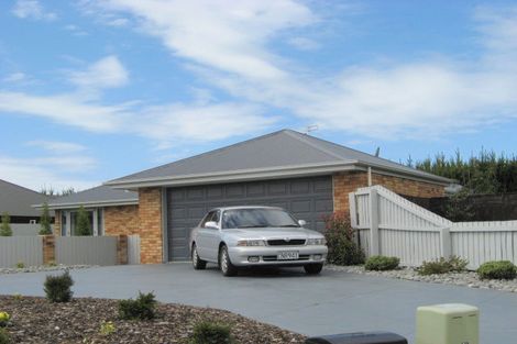 Photo of property in 17 Parkinson Place, Woodend, 7610