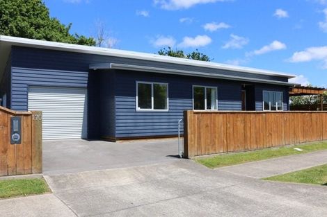 Photo of property in 170 Denbigh Street, Feilding, 4702