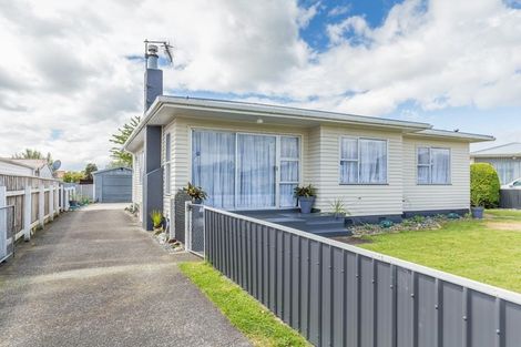 Photo of property in 3 Vogel Street, Levin, 5510