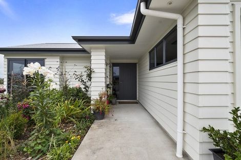 Photo of property in 29 Fry Road, Halcombe, Feilding, 4777