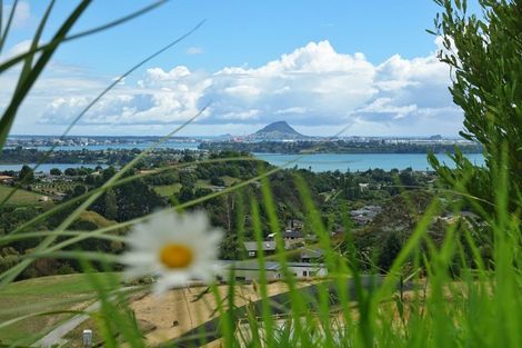 Photo of property in 38 Te Auhi Way, Welcome Bay, Tauranga, 3112