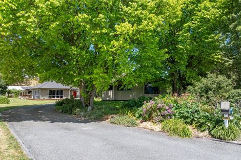 Photo of property in 19 Terrace Road, Renwick, 7204