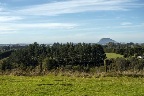 Photo of property in 198b Snodgrass Road, Te Puna, Whakamarama, 3174