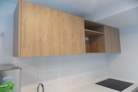 Photo of property in Pinnacle Apartments, W405/160 Victoria Street, Te Aro, Wellington, 6011