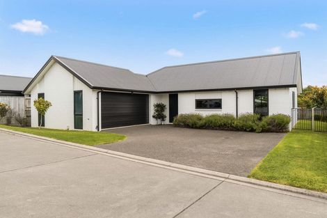 Photo of property in 5 Melonette Way, Ohauiti, Tauranga, 3112