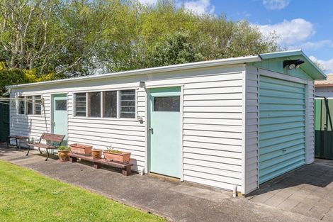 Photo of property in 29 Adkin Avenue, Levin, 5510