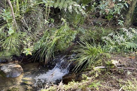 Photo of property in 63 Mangakino Lane, Kauri, Kamo, 0185