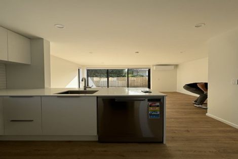 Photo of property in 1/46 Roker Street, Somerfield, Christchurch, 8024