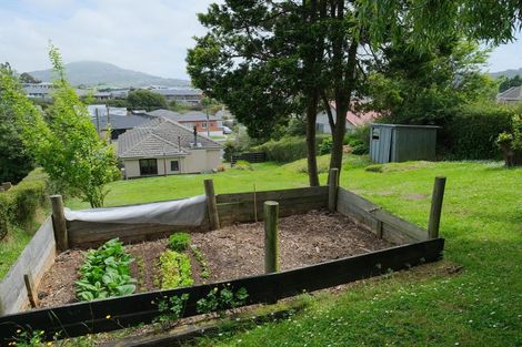 Photo of property in 45 North Taieri Road, Abbotsford, Dunedin, 9018