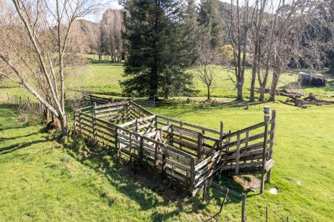 Photo of property in 10 Bright Street, Eketahuna, 4900