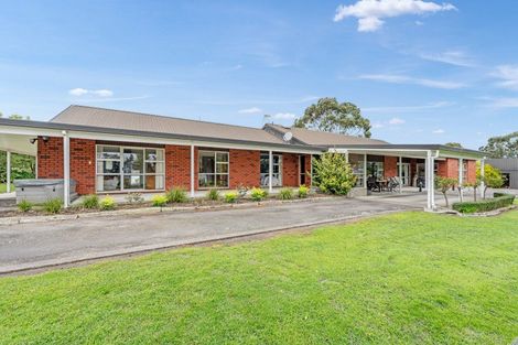 Photo of property in 245 Halcombe Road, Feilding, 4775