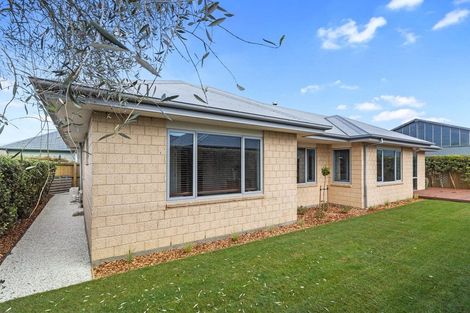 Photo of property in 47 Birchfield Avenue, Dallington, Christchurch, 8061