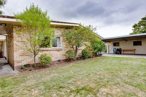 Photo of property in 24 Jordan Terrace, Lansdowne, Masterton, 5810