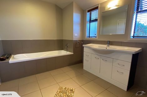 Photo of property in 317b Inglefield Street, Pirongia, Te Awamutu, 3876