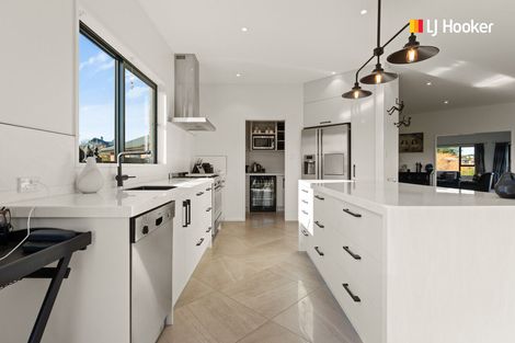 Photo of property in 17 Wavy Knowes Drive, Waldronville, Dunedin, 9018