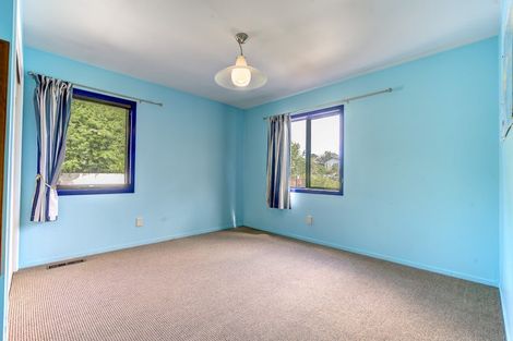 Photo of property in 45 Carey Street, Maeroa, Hamilton, 3200