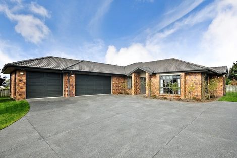 Photo of property in 8 Santiago Place, Flagstaff, Hamilton, 3210