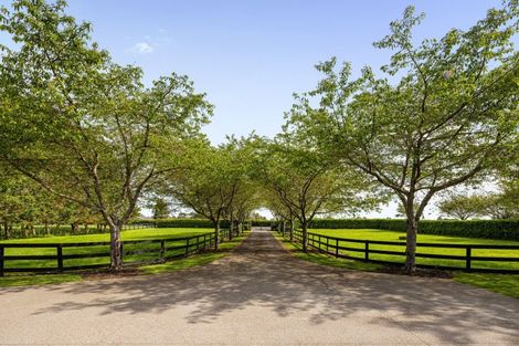 Photo of property in 354 Bruntwood Road, Matangi, Cambridge, 3493