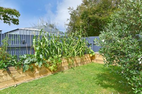 Photo of property in 48 Fraser Crescent, Elderslea, Upper Hutt, 5018