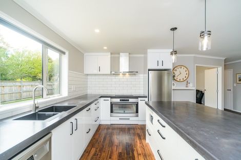 Photo of property in 5 Nelson Street, Feilding, 4702