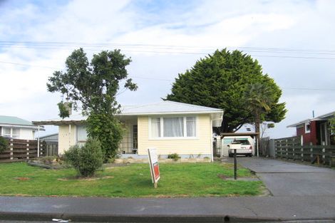 Photo of property in 606 Huia Street, Camberley, Hastings, 4120