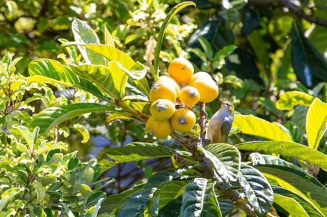 Photo of property in 1a Rakaunui Street, Raglan, 3297