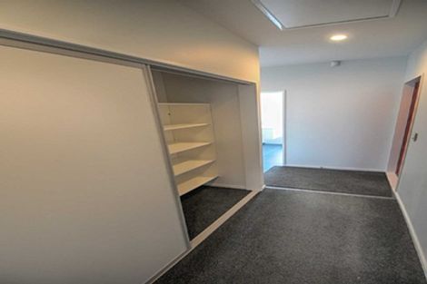 Photo of property in 87 Mary Ellen Street, Pegasus, 7612