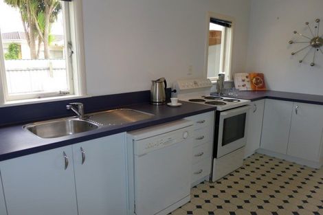 Photo of property in 1011a Reka Street, Akina, Hastings, 4122