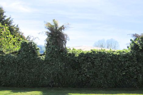 Photo of property in 45 Shirley Street, Mangakakahi, Rotorua, 3015