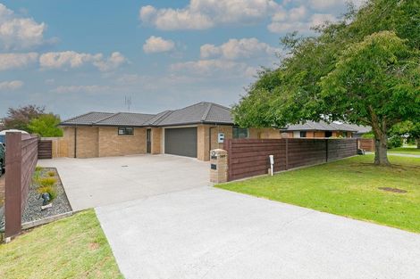 Photo of property in 206 Daphne Street, Te Awamutu, 3800