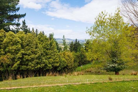 Photo of property in 164 Hendersons Line, Kelvin Grove, Palmerston North, 4470