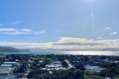 Photo of property in 67 Mantell Street, Seatoun, Wellington, 6022