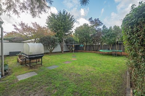 Photo of property in 43 Knowles Street, Terrace End, Palmerston North, 4410