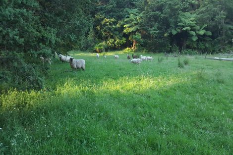 Photo of property in 84 Rigden Road, Opua, 0272