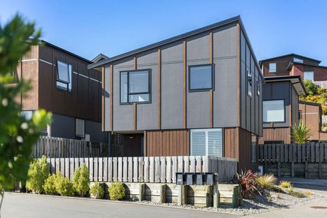 Photo of property in 38 Astelia Way, Woodridge, Wellington, 6037