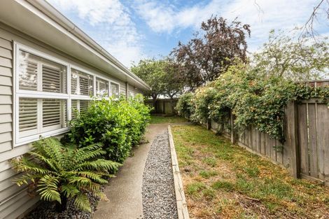 Photo of property in 8d Goddard Lane, Havelock North, 4130