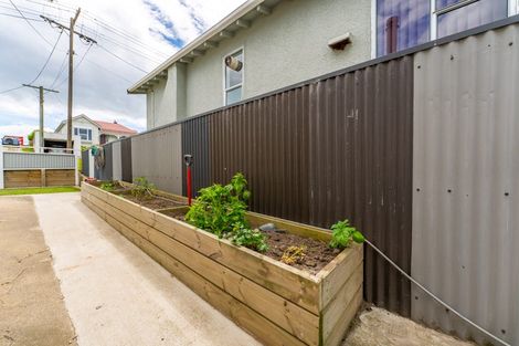 Photo of property in 55 Till Street, South Hill, Oamaru, 9400