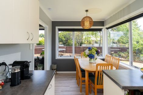 Photo of property in 21 Larnach Street, St Andrews, Hamilton, 3200