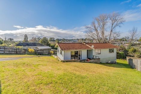 Photo of property in 46 Chislehurst Street, Henderson, Auckland, 0612