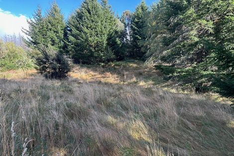 Photo of property in 1 Mount Lyford Avenue, Lyford, Waiau, 7395