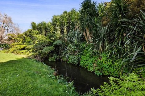 Photo of property in 50/50a Gaine Street, New Plymouth, 4310