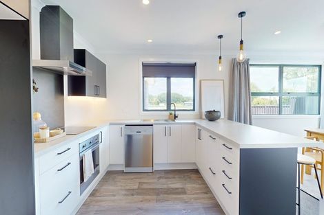 Photo of property in 58b Suffolk Street, Hampstead, Ashburton, 7700