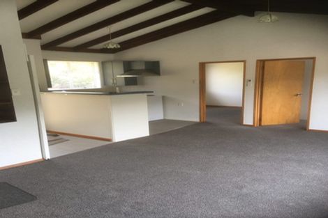 Photo of property in 28b Manchester Street, Bradford, Dunedin, 9011